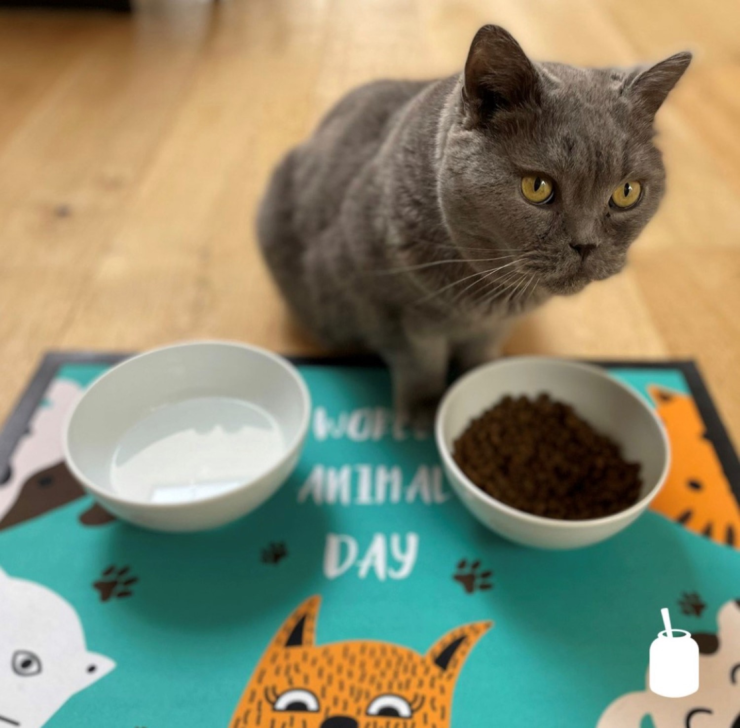 TAPIS POUR ANIMAUX